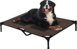 Solar Tec by Arlee Home & Pet Cooling Outdoor Elevated Pet Bed, Brown, Large