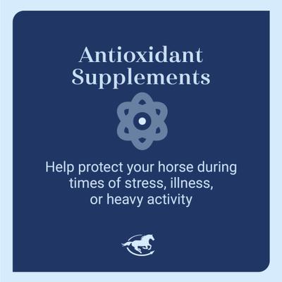 Show full view: SmartEquine E-5000 Powder Horse Supplement, 2-lb jar slide 3 of 6