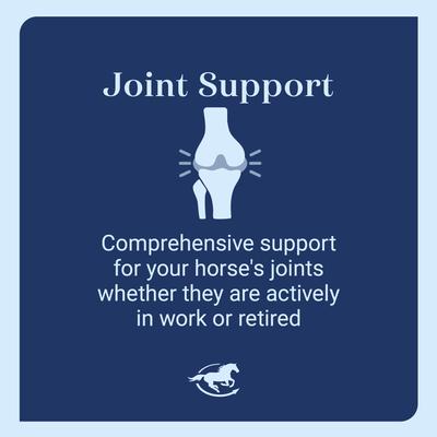 Show full view: SmartEquine Devil's Claw Plus Pellets Supplement for Horses, 5-lb pail slide 5 of 6