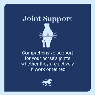 Show full view: SmartEquine Arthroxigen Joint Support Formula Pellets Horse Supplement, 5-lb bucket slide 4 of 5