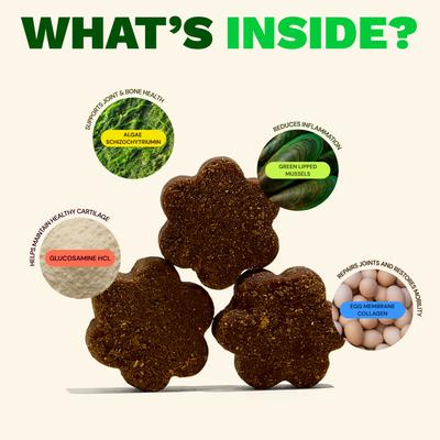 Show full view: Get Joy Joint+ Chicken Flavored Soft Chew Hip & Joint Mobility Health Supplement for Dogs, 90 count slide 6 of 12