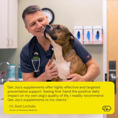 Show full view: Get Joy Joint+ Chicken Flavored Soft Chew Hip & Joint Mobility Health Supplement for Dogs, 90 count slide 6 of 11