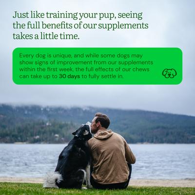 Show full view: Get Joy Gut+ Chicken Flavored Soft Chew Gut & Digestive Health Supplement for Dogs, 90 count slide 9 of 11