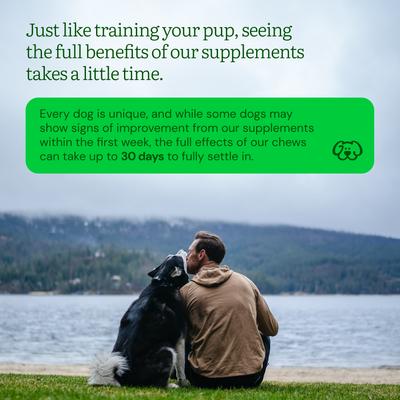 Show full view: Get Joy Calm+ Chicken Flavored Soft Chew Calming Stress & Anxiety Support Supplement for Dogs, 90 count slide 10 of 12