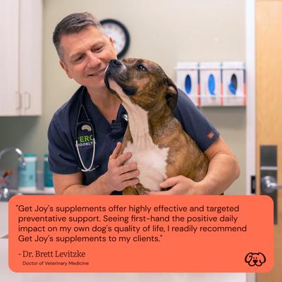 Show full view: Get Joy Gut+ Chicken Flavored Soft Chew Gut & Digestive Health Supplement for Dogs, 90 count slide 6 of 11