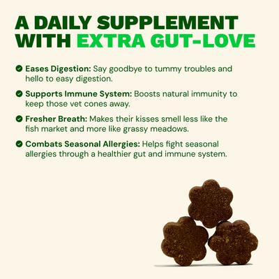 Show full view: Get Joy Gut+ Chicken Flavored Soft Chew Gut & Digestive Health Supplement for Dogs, 90 count slide 5 of 12