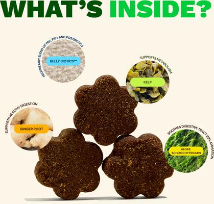 Show full view: Get Joy Gut+ Chicken Flavored Soft Chew Gut & Digestive Health Supplement for Dogs, 90 count slide 5 of 11