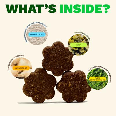 Show full view: Get Joy Gut+ Chicken Flavored Soft Chew Gut & Digestive Health Supplement for Dogs, 90 count slide 6 of 12