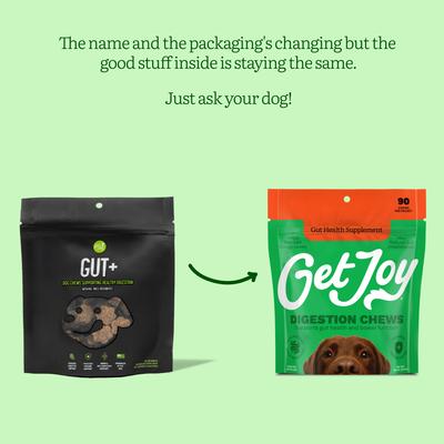 Show full view: Get Joy Gut+ Chicken Flavored Soft Chew Gut & Digestive Health Supplement for Dogs, 90 count slide 3 of 12