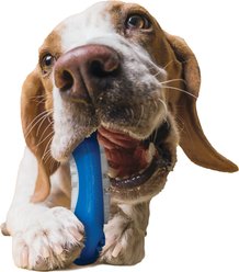 fouFIT Brush 'n Bite Dog Chew Toy, Blue slide 2 of 6