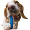 Show in main carousel: fouFIT Brush 'n Bite Dog Chew Toy, Blue slide 6 of 6