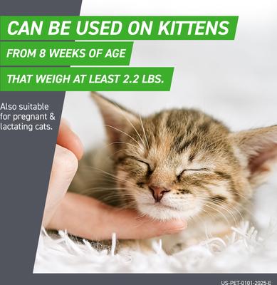 Show full view: Frontline Plus Flea & Tick Spot Treatment for Cats, over 1.5 lbs, 6 Doses (6-mos. supply) slide 6 of 12