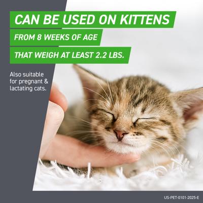 Show full view: Frontline Plus Flea & Tick Spot Treatment for Cats, over 1.5 lbs, 3 Doses (3-mos. supply) slide 6 of 12