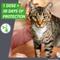Show in main carousel: Frontline Plus Flea & Tick Spot Treatment for Cats, over 1.5 lbs, 6 Doses (6-mos. supply) slide 5 of 12