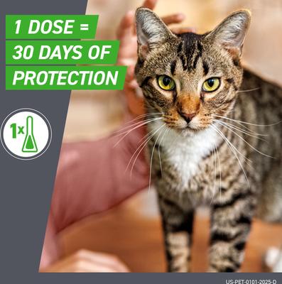 Show full view: Frontline Plus Flea & Tick Spot Treatment for Cats, over 1.5 lbs, 6 Doses (6-mos. supply) slide 5 of 12