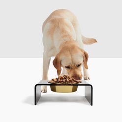 Hiddin Smoke Grey Single Dog & Cat Elevated Bowl, Gold, 6.5-cup