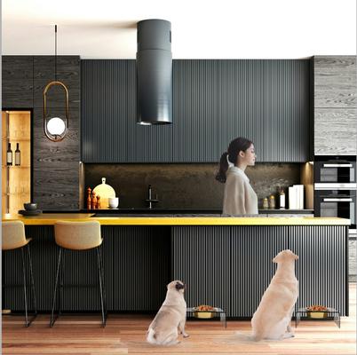 Show full view: Hiddin Smoke Grey Single Dog & Cat Elevated Bowl, Gold, 6.5-cup slide 6 of 8