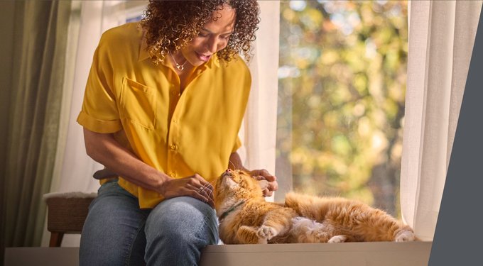 Frontline Plus Flea & Tick Spot Treatment for Cats, over 1.5 lbs