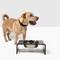 Show in main carousel: Hiddin Smoke Grey Single Dog & Cat Elevated Bowl, Silver, 6.5-cup slide 5 of 8