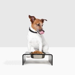 Hiddin Smoke Grey Single Dog & Cat Elevated Bowl, Silver, 6.5-cup