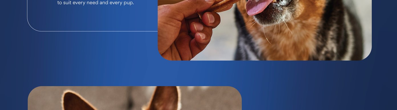 Chewy Natural Beef Flavor Dental Chew Dog Treats (FORMERLY TRUE ACRE FOODS)