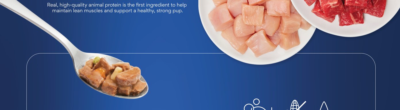 Real, high-quality animal protein is the first ingredient to help maintain lean muscles and support a healthy, strong pup.