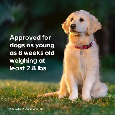 Simparica Trio Chewable Tablet for Dogs, 22.1-44.0 lbs, (Teal Box)