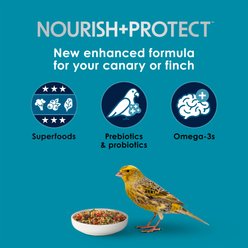 Kaytee Forti-Diet Pro Health Nourish+Protect Canary & Finch Food, 2-lb bag slide 2 of 9