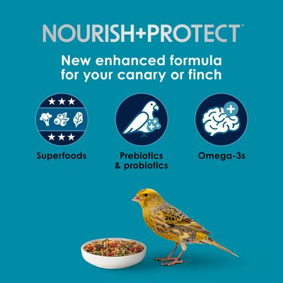 Show full view: Kaytee Forti-Diet Pro Health Nourish+Protect Canary & Finch Food, 2-lb bag slide 2 of 9