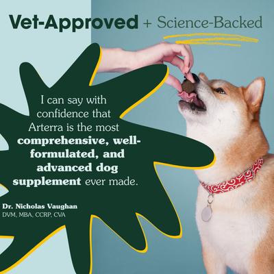 Show full view: Arterra Longevity Beef Flavored Adult Soft Chew Multivitamin Supplement for Dogs, 30 count slide 7 of 13