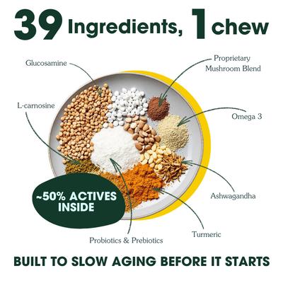 Show full view: Arterra Longevity Beef Flavored Adult Soft Chew Multivitamin Supplement for Dogs, 30 count slide 5 of 13