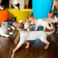 Safari Ltd. Domestic Cats Toob slide 2 of 7