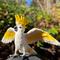 Show in main carousel: Safari Ltd. Cockatoo Figurine slide 6 of 6