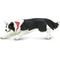 Show in main carousel: Safari Ltd. Border Collie Figurine slide 1 of 6