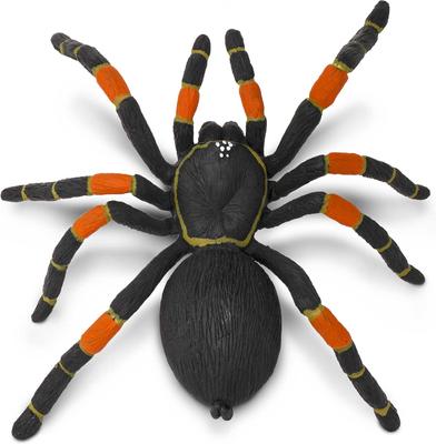 Show full view: Safari Ltd. Orange-Kneed Tarantula slide 3 of 7