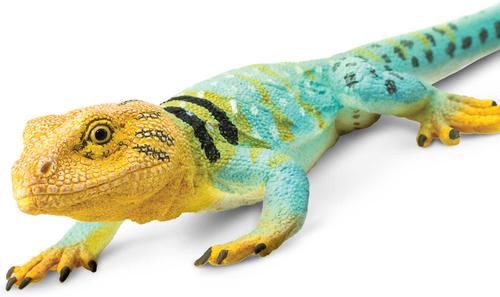 Show full view: Safari Ltd. Collared Lizard Toy Figurine slide 5 of 7
