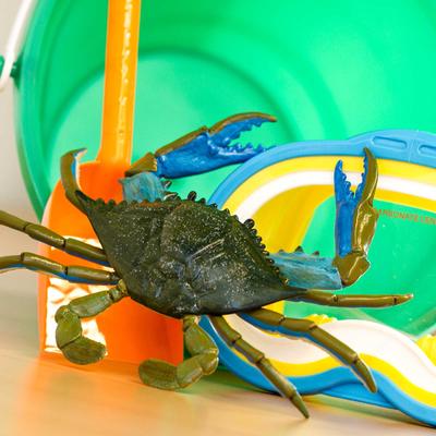 Show full view: Safari Ltd. Blue Crab Toy Figurine slide 2 of 6