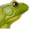 Show in main carousel: Safari Ltd. American Bullfrog Toy Figurine slide 4 of 6