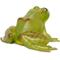 Show in main carousel: Safari Ltd. American Bullfrog Toy Figurine slide 2 of 6