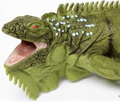 Safari Ltd. Iguana Toy Figurine slide 2 of 6