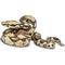 Show in main carousel: Safari Ltd. Boa Constrictor Figurine slide 3 of 8