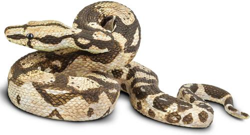 Show full view: Safari Ltd. Boa Constrictor Figurine slide 3 of 8