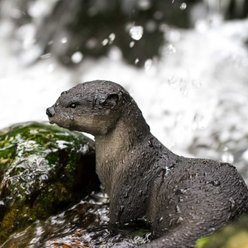 Safari Ltd. River Otter Figurine slide 2 of 6