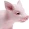 Show in main carousel: Safari Ltd. Piglet Figurine, 4 x 3-in slide 3 of 6