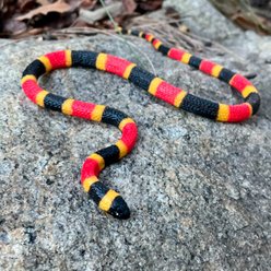 Safari Ltd. Coral Snake Baby Figurine slide 2 of 6