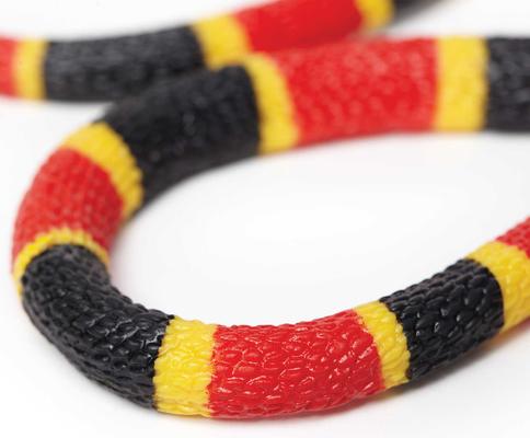 Show full view: Safari Ltd. Coral Snake Baby Figurine slide 3 of 6