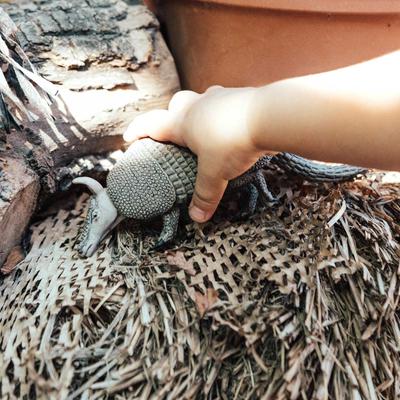 Show full view: Safari Ltd. Armadillo slide 4 of 5