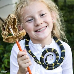 Safari Ltd. Chain Kingsnake slide 2 of 6