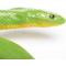 Show in main carousel: Safari Ltd. Rough Green Snake slide 2 of 6