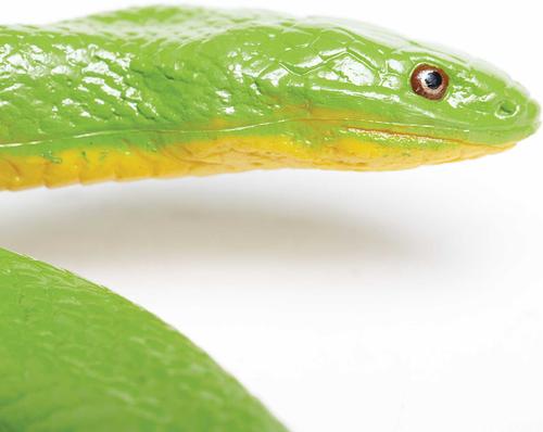 Show full view: Safari Ltd. Rough Green Snake slide 2 of 6